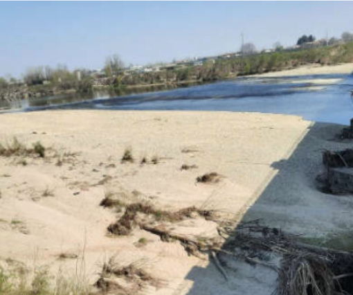 Via dagli alvei ghiaia, sabbia e pietre: i tratti del fiume Sesia in cui si deve intervenire