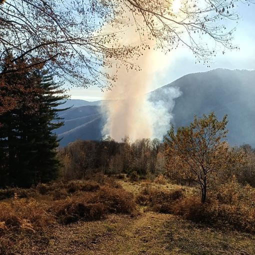 Bosco a fuoco in alta Valsessera VIDEO