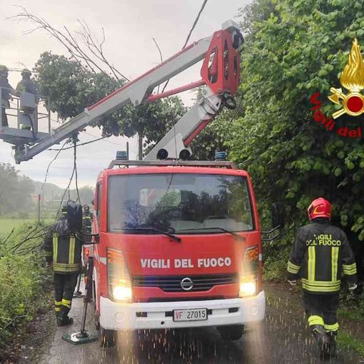 Quarona: Albero pericolante su cavi della luce, messa in sicurezza a cura dei Vigili del Fuoco