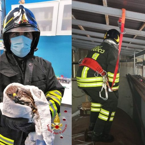 I Vigili del Fuoco durante e dopo il soccorso