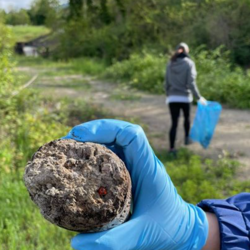 Quarona, volontari in azione per ripulire le sponde del Sesia - FOTO