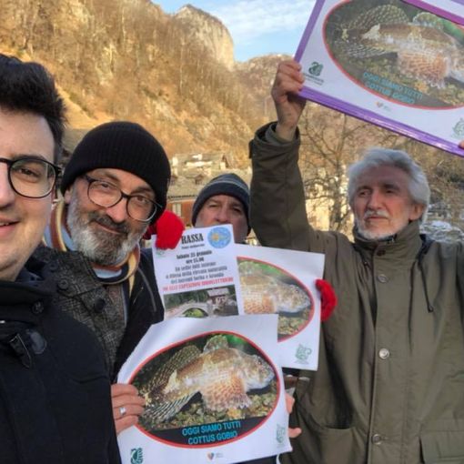 Anche a Rassa la protesta dei pesci di fiume