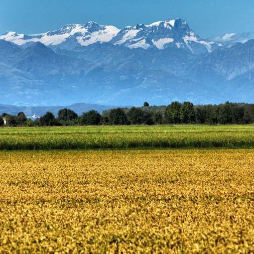 Lo splendido panorama delle risaie