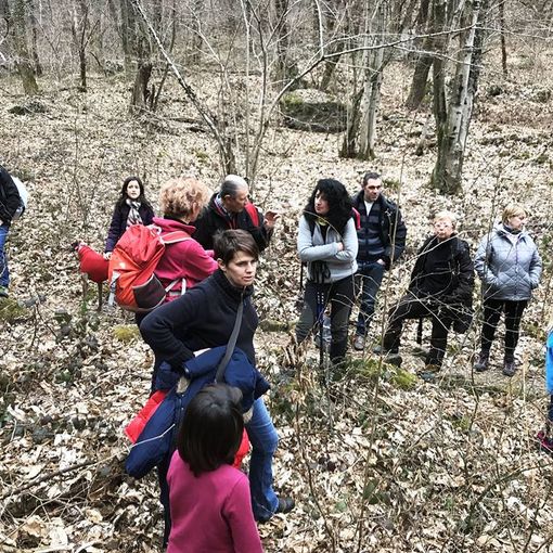 Il &quot;sabba dei rospi&quot; sabato al laghetto di Sant'Agostino di Quarona