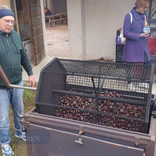 Castagnea e le sue Castagne piace ai visitatori (foto e video di M. Benedetti per newsbiella.it)
