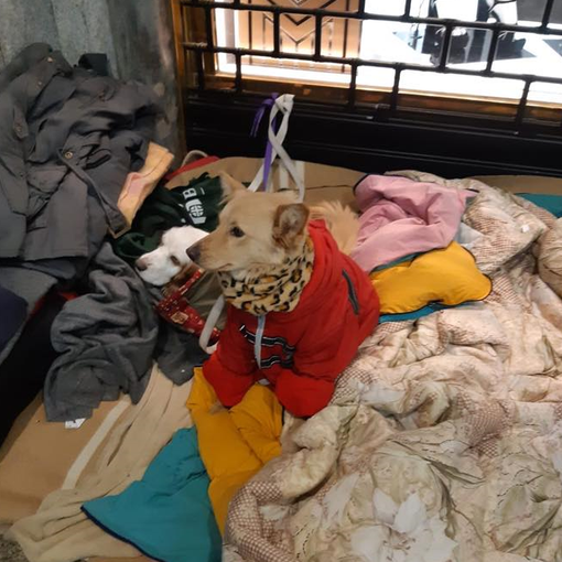Da Pray a Torino tra i senza tetto