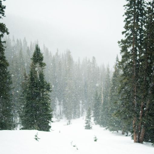 Neve e pioggia: allerta arancione e pericolo valanghe 4 su 5