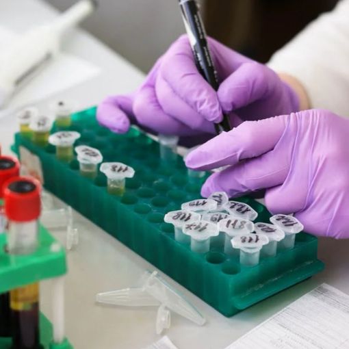Coronavirus, ecco il bollettino della Regione Piemonte: Altri 8 pazienti guariti nel Vercellese