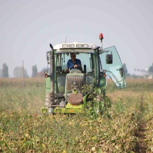 Carburanti agricoli: Confagricoltura chiede di rivedere il sistema delle assegnazioni