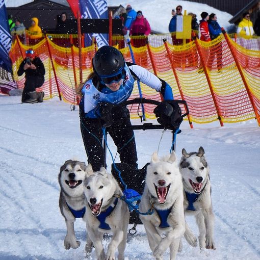 Valentina Durio vince la coppa del mondo di sleddog