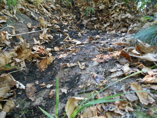La Valsesia Magica e Misteriosa: Il ‘battesimo’ paganeggiante nella “Scarpa du lavèl” sotto l’Alpe Albarei di Postua