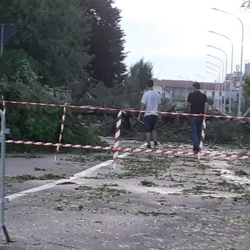 Vercellese devastato dal maltempo: chiesto lo stato d'emergenza