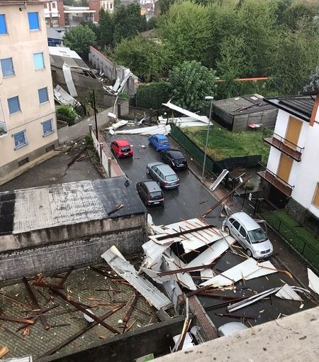 Vercelli: Ordinanza di chiusura per viali e parchi: controllo straordinario sulle alberate
