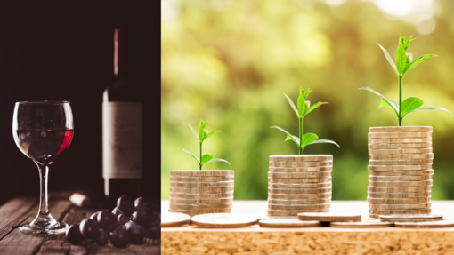 Bando regionale: 3,2 milioni di euro per le aziende vitivinicole piemontesi.