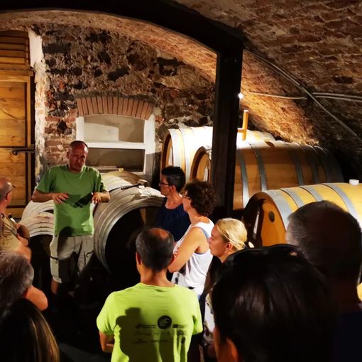 Degustazione con visita a vigne in Valsessera, ricco programma in cantiere per la Pro Loco Ailoche FOTO