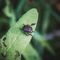 Foto di Richie Bettencourt - tamite Unsplash