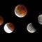 Eclissi totale di Luna: il Biellese assiste alla “Luna rossa” - Foto di Enrico Eletto