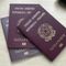 Cirio candida il Piemonte al progetto sperimentale per il rilascio dei passaporti