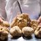 Terra Madre, lavoro e tartufo al centro degli incontri del 26 settembre