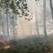 Incendi, il Piemonte regge ma l’Italia brucia: Legambiente lancia l’allarme e chiede un cambio di passo