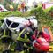 Auto si ribalta e finisce fuori strada