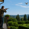 È legale che un drone voli sul mio giardino? È legale che un drone voli sul mio giardino?