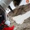 Alagna Valsesia, soccorsi quattro alpinisti rimasti bloccati in parete Alagna Valsesia, soccorsi quattro alpinisti rimasti bloccati in parete