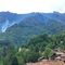 Incendi in Valsesia, situazione stabile ma attenzione alta per caldo e siccità Incendi in Valsesia, situazione stabile ma attenzione alta per caldo e siccità