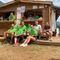 Scopa, concluso il Torneo di Bocce: sport, convivialità e spirito di comunità