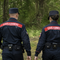 Incendi boschivi e tutela delle foreste, il Piemonte rinnova la convenzione con i Carabinieri Forestali - Immagine generata tramite ia