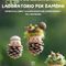 Campertogno, il 29 agosto laboratorio gratuito per bambini ispirato a “La Dama Bianca del Corno Bianco” Campertogno, il 29 agosto laboratorio gratuito per bambini ispirato a “La Dama Bianca del Corno Bianco”