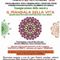 Varallo, sabato inaugura “Il Mandala della Vita”: in mostra le opere degli ospiti di Casa Serena