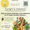 Funghi protagonisti a Scopello: mostra, conferenza e Sagra il 6 settembre Funghi protagonisti a Scopello: mostra, conferenza e Sagra il 6 settembre