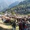 Scopello, grande partecipazione alla Fiera Agricola: il premio Paolo Ferraris all’Azienda Agricola Cottini Scopello, grande partecipazione alla Fiera Agricola: il premio Paolo Ferraris all’Azienda Agricola Cottini