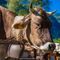 Dal 2027 le fiere agricole valsesiane entreranno nel calendario regionale Dal 2027 le fiere agricole valsesiane entreranno nel calendario regionale