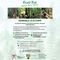 Forest Trek a Romagnano Sesia, domenica una camminata tra natura e Forest Bathing