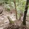 Monte Fenera, ripristinato il sentiero 779 tra Bertasacco e Ara Monte Fenera, ripristinato il sentiero 779 tra Bertasacco e Ara