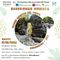 Borgosesia, sabato 17 ottobre escursione guidata tra Fenera, Grotte di Ara e Museo Carlo Conti Borgosesia, sabato 17 ottobre escursione guidata tra Fenera, Grotte di Ara e Museo Carlo Conti