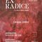 Varallo, a Palazzo d’Adda la mostra “Ex Radice” di Chiara Longo