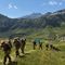 Addestramento in montagna per il Reggimento "Nizza Cavalleria"
