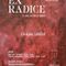 Varallo, Chiara Longo incontra il pubblico alla mostra “Ex Radice” Varallo, Chiara Longo incontra il pubblico alla mostra “Ex Radice”