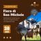 Scopello: torna la Fiera di San Michele