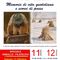 Grignasco celebra i 100 anni dalla nascita di Franco Fizzotti con la mostra “Memorie di vita quotidiana e scorci di paese”