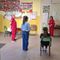 Croce Rossa Borgosesia, concluso il progetto “Facciamo prevenzione” nelle scuole Croce Rossa Borgosesia, concluso il progetto “Facciamo prevenzione” nelle scuole