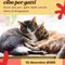 Un Cuore Caldo per i Mici di Borgosesia: Grande Raccolta Cibo al Conad Un Cuore Caldo per i Mici di Borgosesia: Grande Raccolta Cibo al Conad
