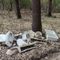 A Gattinara nuovi rifiuti abbandonati nel bosco: il Comitato richiama al rispetto del territorio