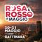 Gattinara, Rosa e Rosso di Maggio anima il centro storico
