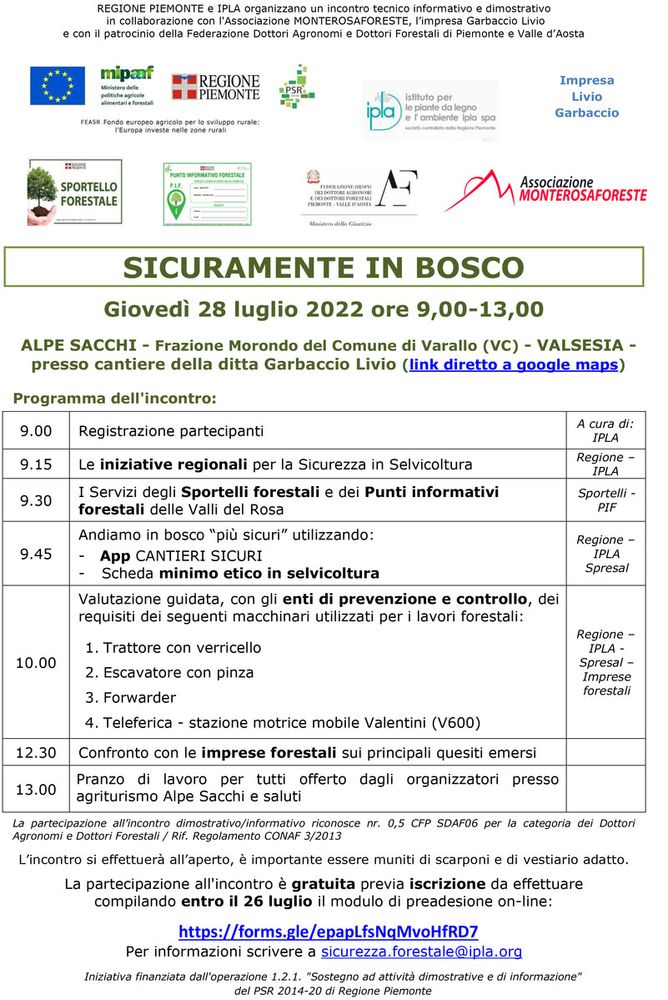 Sicuramente in bosco all'Alpe Sacchi  il 28 luglio Sicuramente in bosco all'Alpe Sacchi  il 28 luglio