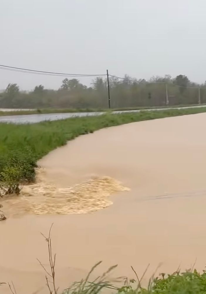 L'Elvo nelle campagne di Carisio