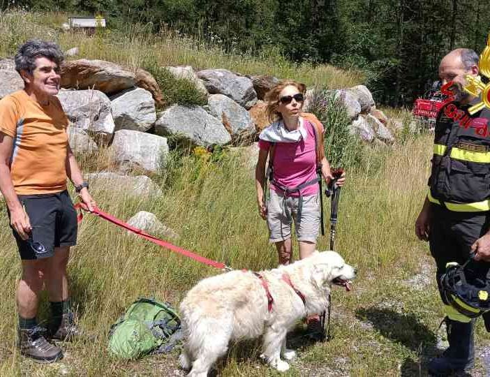 Dal nord ovest: sfugge ai padroni e precipita in un rio sul Monte Rosa, golden retriver recuperato dal'elicottero dei Vigili del fuoco
